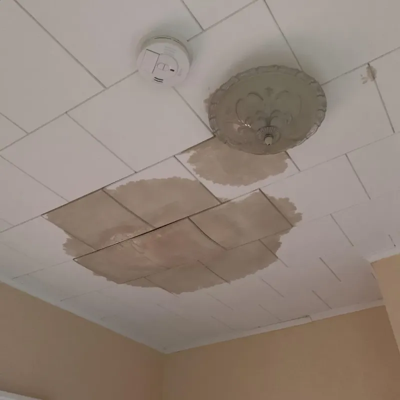 Ceiling Water Damage Repair in Huxley, IA