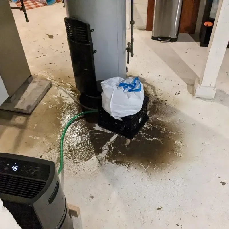 Sewage Backup Cleanup Service in Huxley, IA